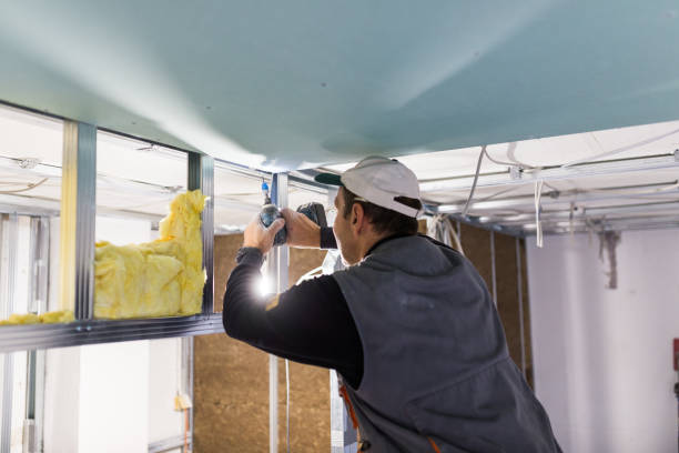 Best Spray Foam Insulation in Kenbridge, VA