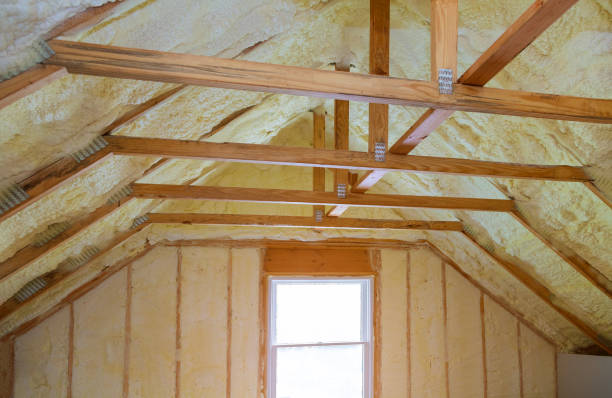 Best Insulation Maintenance and Repair in Kenbridge, VA