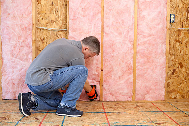 Best DIY Insulation Kits and Guidance in Kenbridge, VA