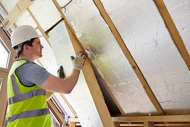 Best Blown-in Insulation in Kenbridge, VA