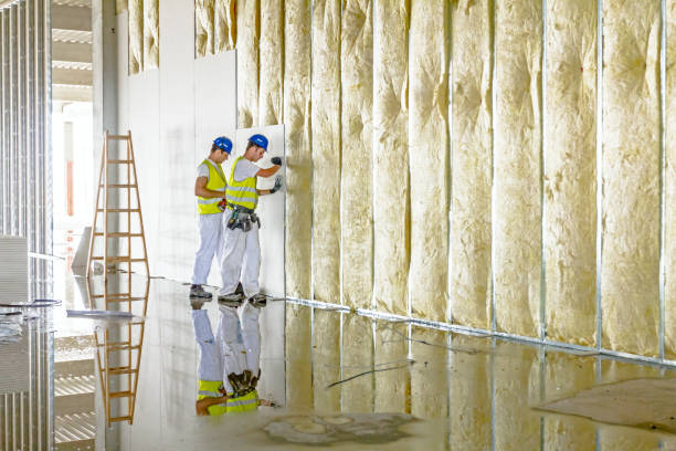 Best Cellulose Insulation in Kenbridge, VA